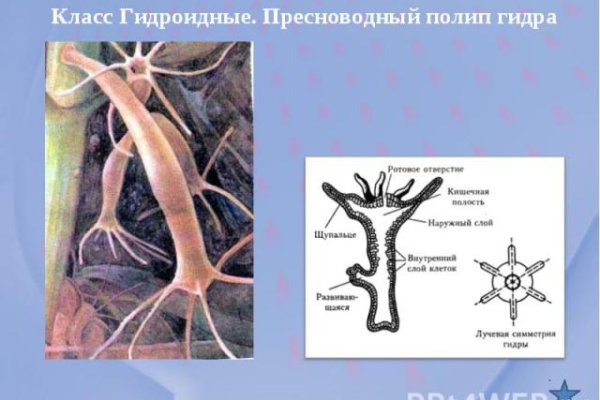 Кракен зеркало маркетплейс