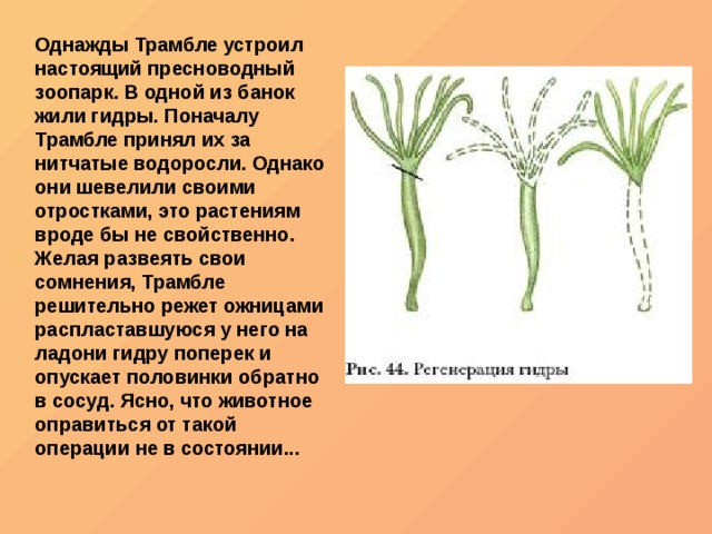 Не входит в кракен пользователь не найден